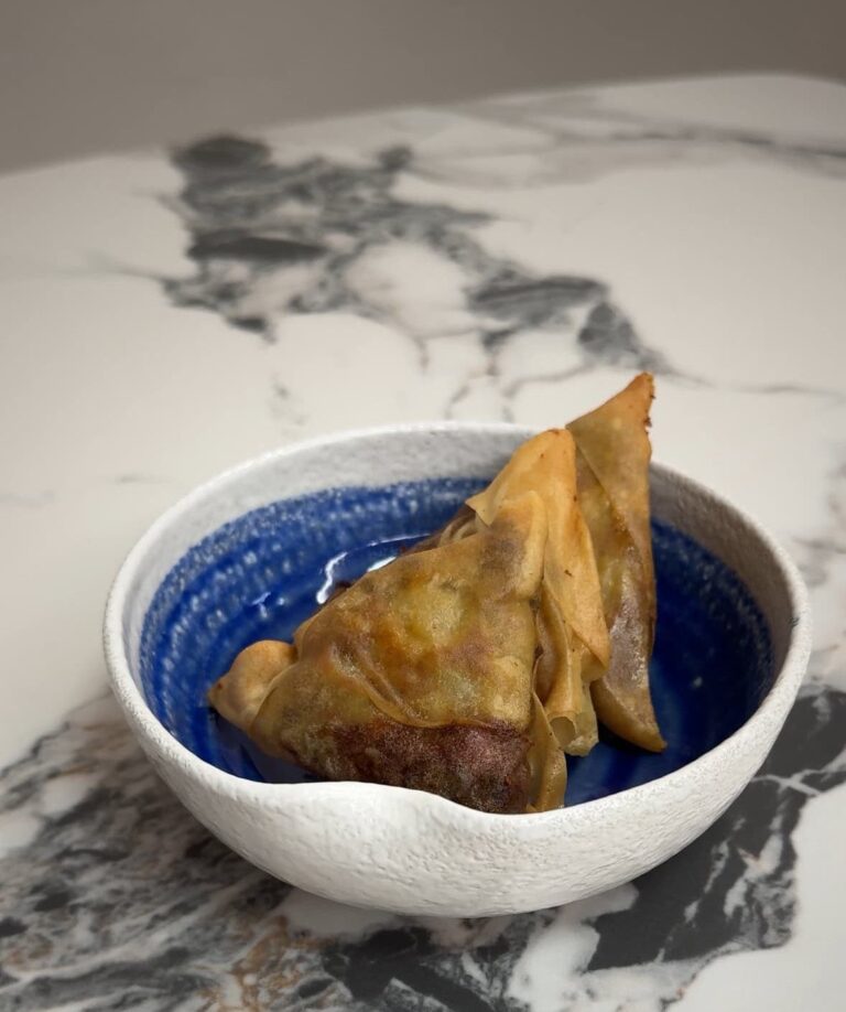 beef samosas with cheese